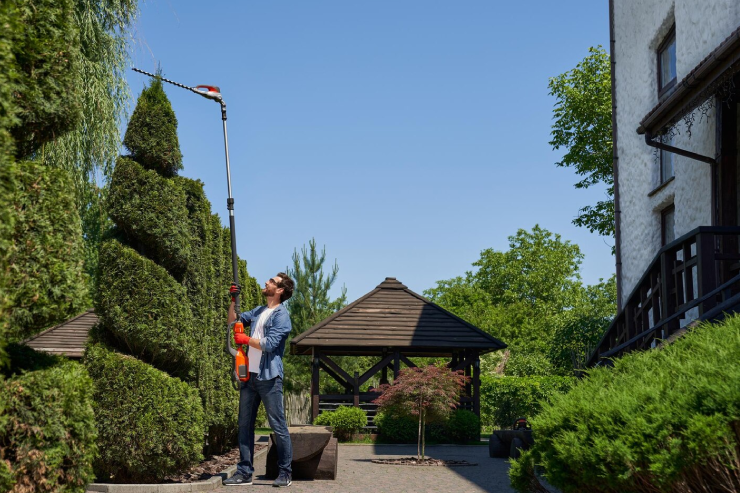 Commercial-Tree-Maintenence