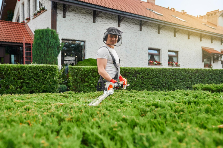 man-uniform-glasses-gloves-pruning-bushes-garden